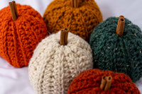 Thumbnail for Classic Pumpkin