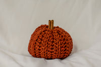 Thumbnail for Classic Pumpkin