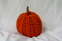 Thumbnail for Classic Pumpkin