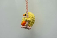 Thumbnail for Swinging Chicks