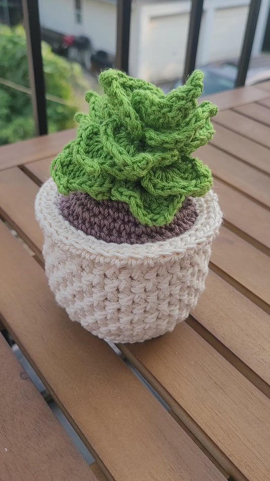 Crochet Potted Succulent